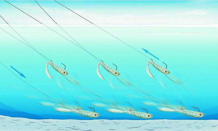 Immagine prodotto Quantum Joker Lure