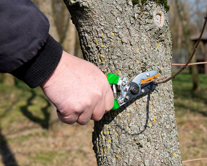 Produktbild Royal Gardineer Amboss-Gartenschere mit Carbonstahl-Klinge und ergonomischem Griff