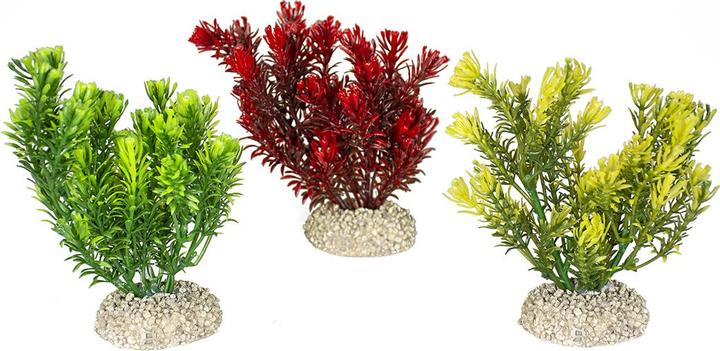 Produktbild EBI Aqua Della Pflanze Canadensis Set M (Dekoration, Pflanzen)