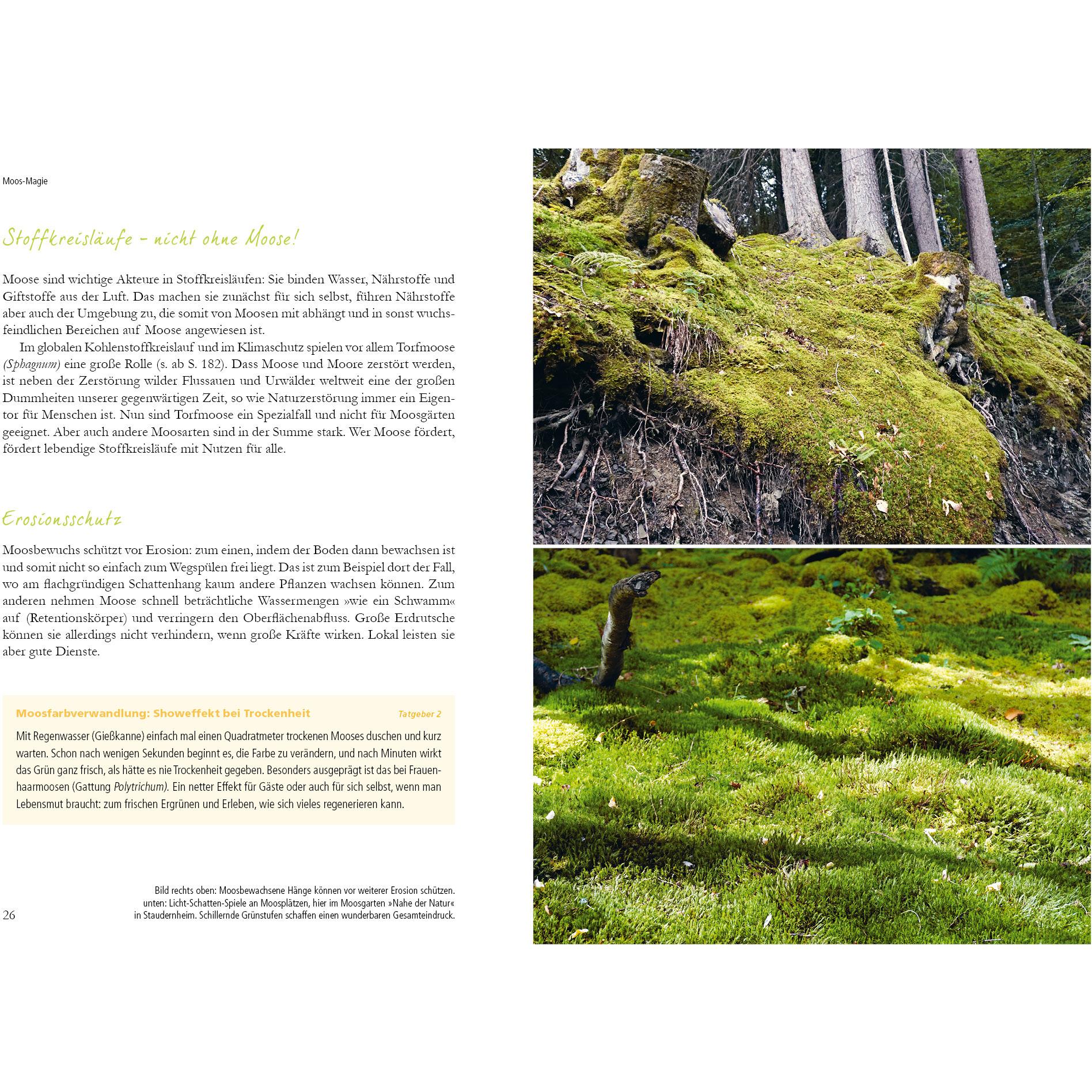 Thumbnail - Der Moosgarten, Sachbücher von Michael Altmoos