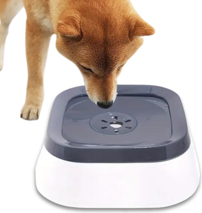 Suba Wassernapf Hund Ohne Sabbern