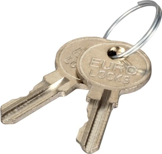 Immagine prodotto EFB Elektronik Chiave di ricambio per le serrature dell'armadio di distribuzione