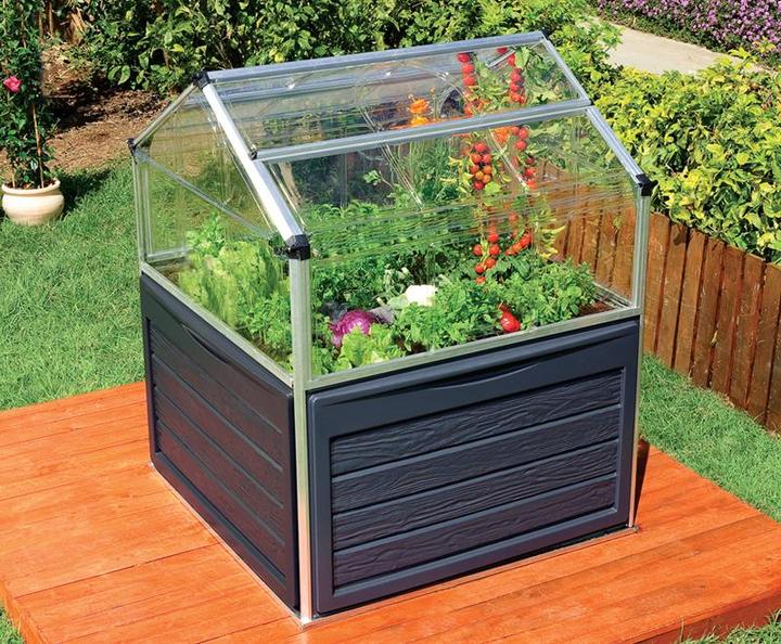 Image du produit Palram Crystal