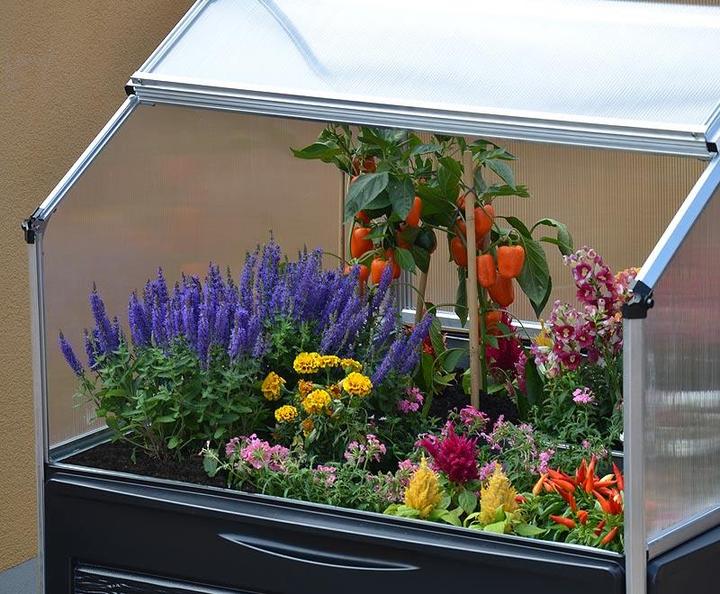 Image du produit Palram Crystal