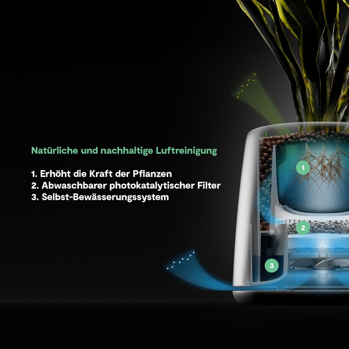 Actual product image Vitesy Natede Smart (20 m²)