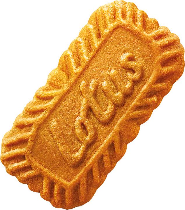 Actual product image Lotus Biscoff (1 pcs., 281 g)