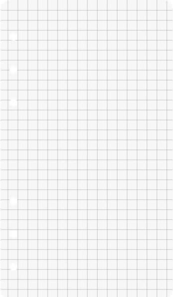 Actual product image Ring binder inserts 8.8x15.2 chequered 50 sheets