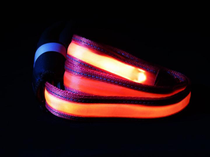 Image du produit The Monster Factory Laisse pour chien Dark Vador (Chien)