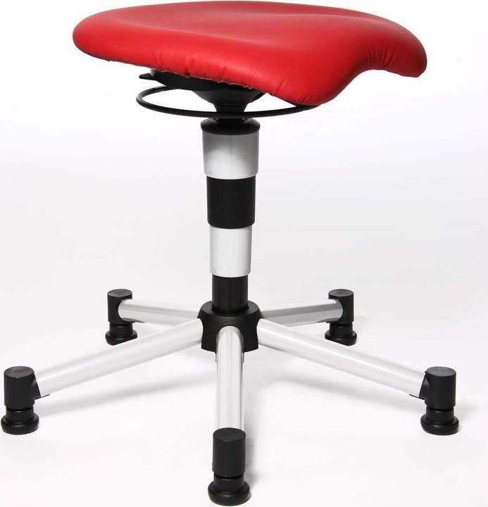 Actual product image Topstar Body Balance 20