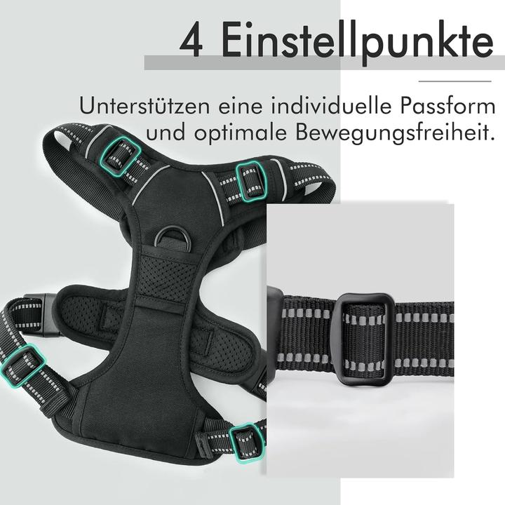 Actual product image Rabbitgoo No-pull dog harness (L, Dog, General)