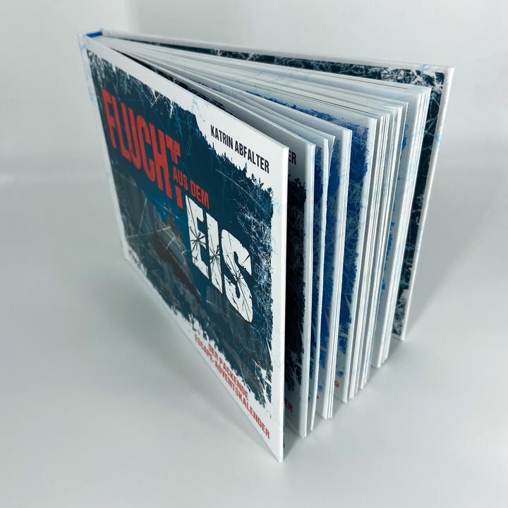 Actual product image Escape from the ice