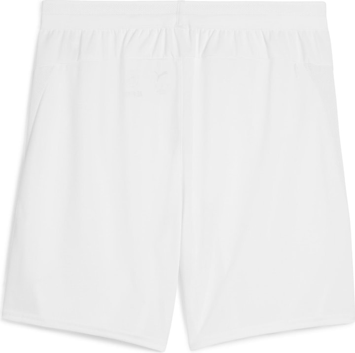 Puma teamCUP Shorts