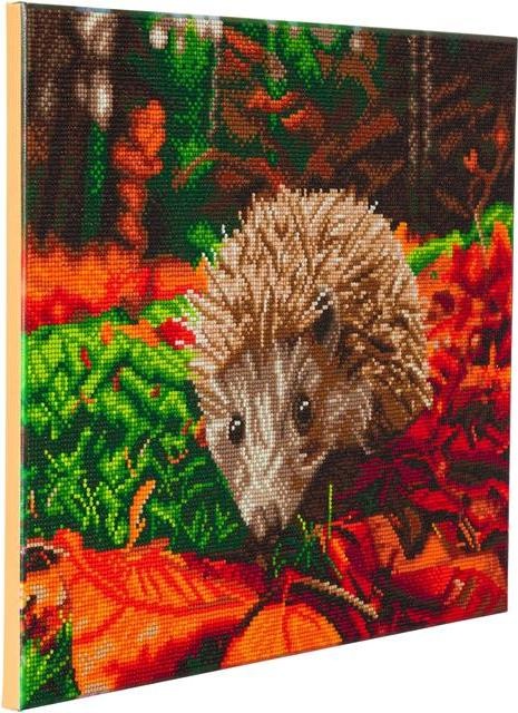 Produktbild Craft Buddy Hedgehog, 40x50cm Crystal Art Kit