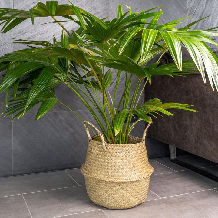 Produktbild Intirilife Aufbewahrungskorb (34.50 cm, 1x)