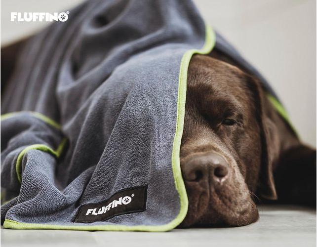 Image du produit Fluffino Set de 2 serviettes pour chiens (Chien)