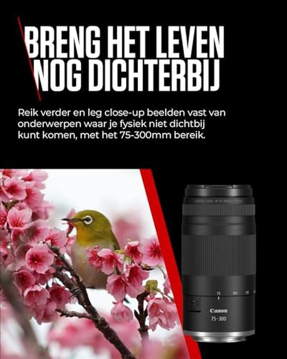 Actual product image Canon RF 75-300mm F4-5.6 (Canon RF, full size, APS-C / DX)