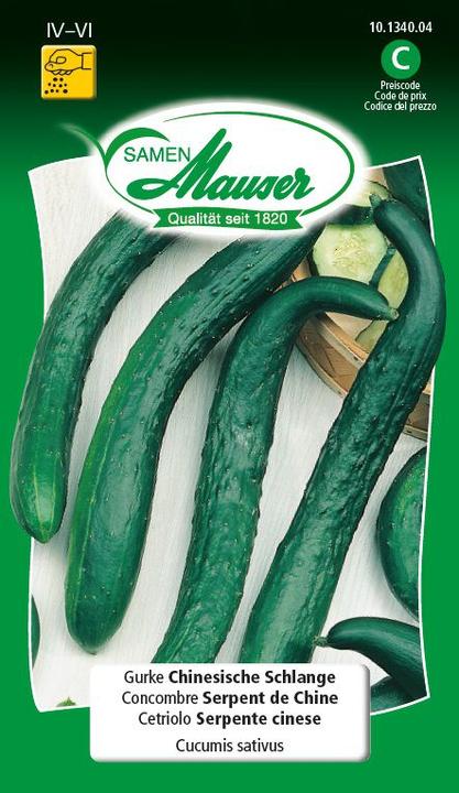Cucumber Chinese snakes (Vegetable seeds)