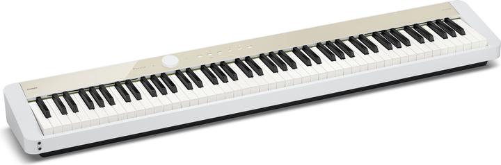 Immagine prodotto Casio Privia PX-S1100MB (88 Chiavi)