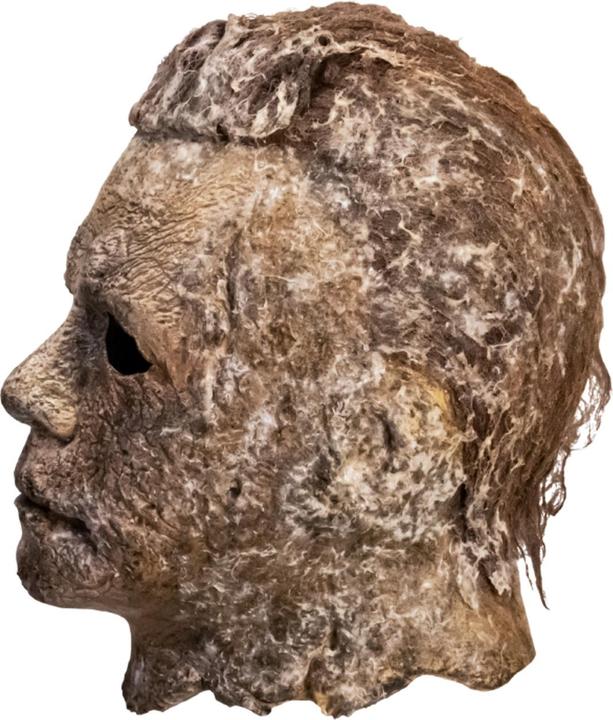Image du produit Trick or Treat Studios Halloween Ends "Masque de latex Michael Myers" 1/1 réplique