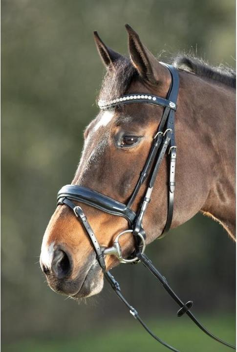 Image du produit HFI Master Shiny