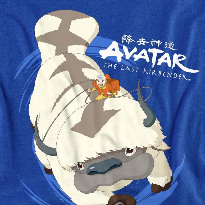 Produktbild Avatar: The Last Airbender In Flight TShirt (L)