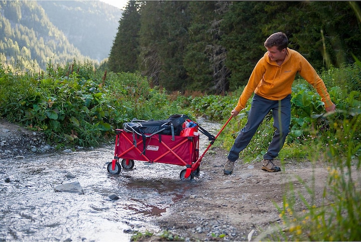 Actual product image Coleman Ladder trolley