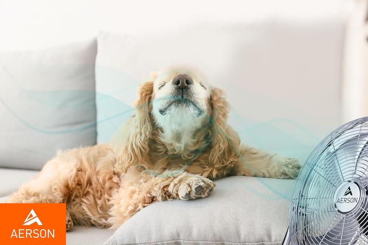 Produktbild Tresko Aerson Bodenventilator (59 dB)