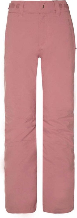 Pink Tulip