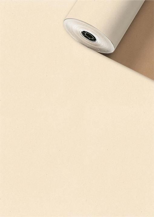 Image du produit Stewo Papier cadeau Uni Recycling 252258475 0,5x250m beige FSC (1x)