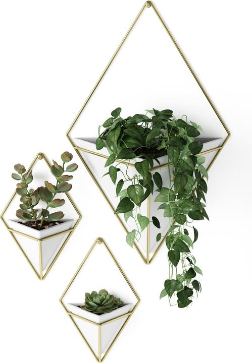 Produktbild Umbra Trigg (11.40 cm)