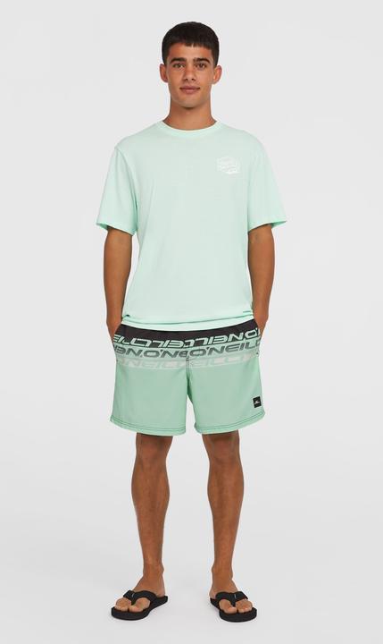 Produktbild O'Neill Cali Stripe 16" Swimshorts (S)