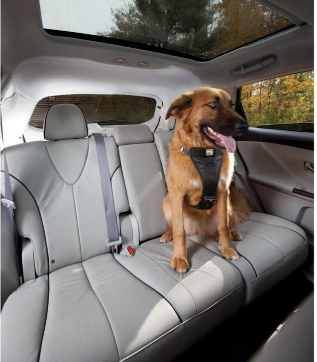 Image du produit Kurgo Tru-Fit (L, Chien, Général)