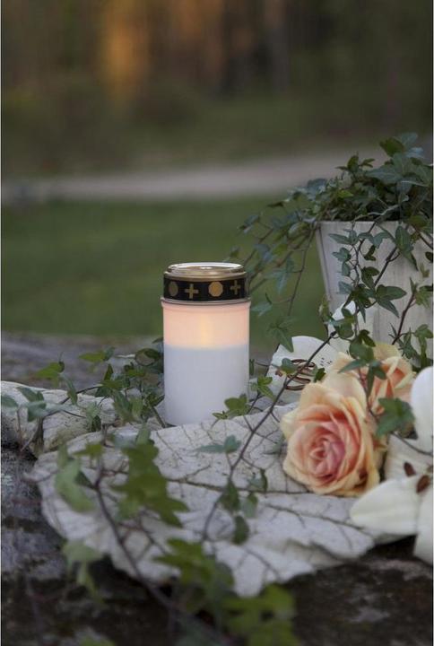 Immagine prodotto Star Trading Sereno (1 x)