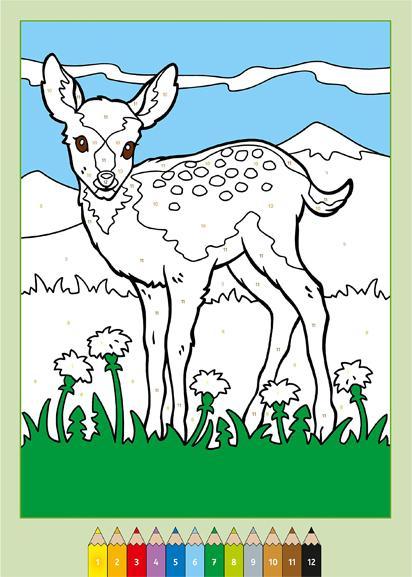 Actual product image Ausmalreise Schweiz - Kolorieren und das Land entdecken