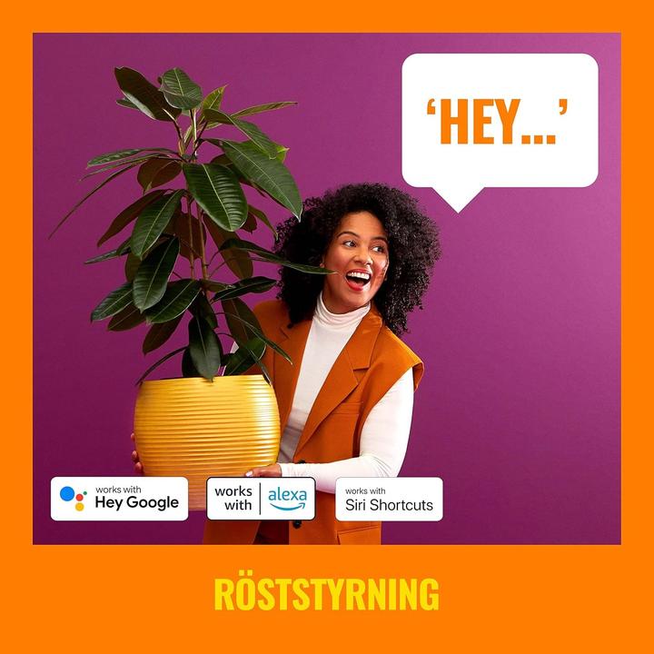 Image du produit WiZ Up Down (345 lm, GU10)