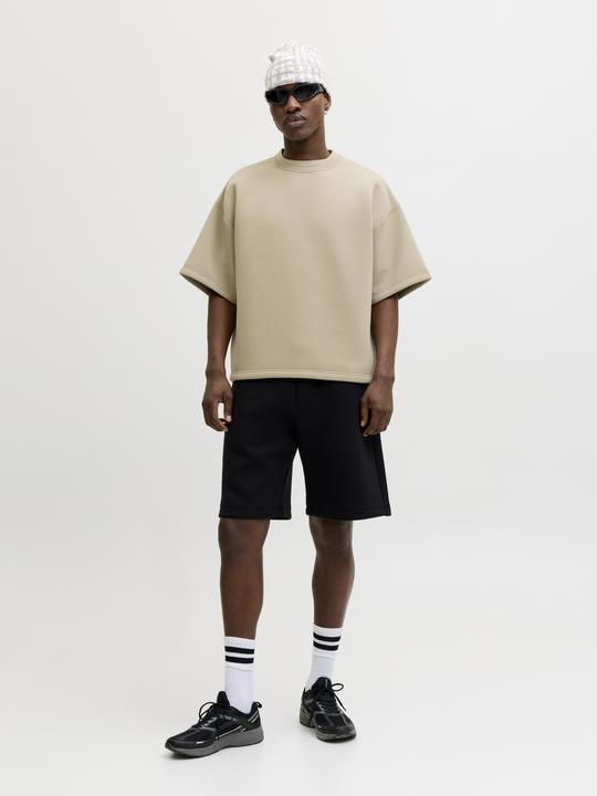 Produktbild Jack & Jones Jcobiarritz Scuba Sweat Ss Styd Ss26 (M)