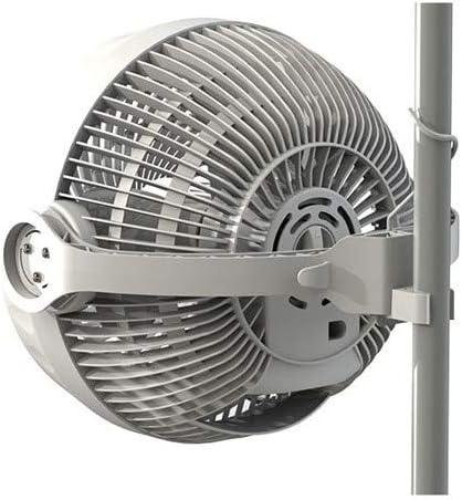 Produktbild Secret Jardin Monkey Fan