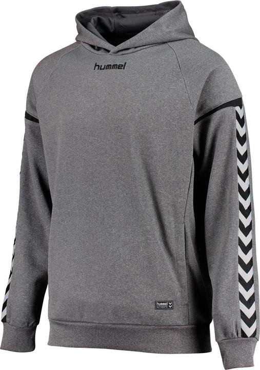 Produktbild hummel Authentic Charge Poly Hoodie (116)