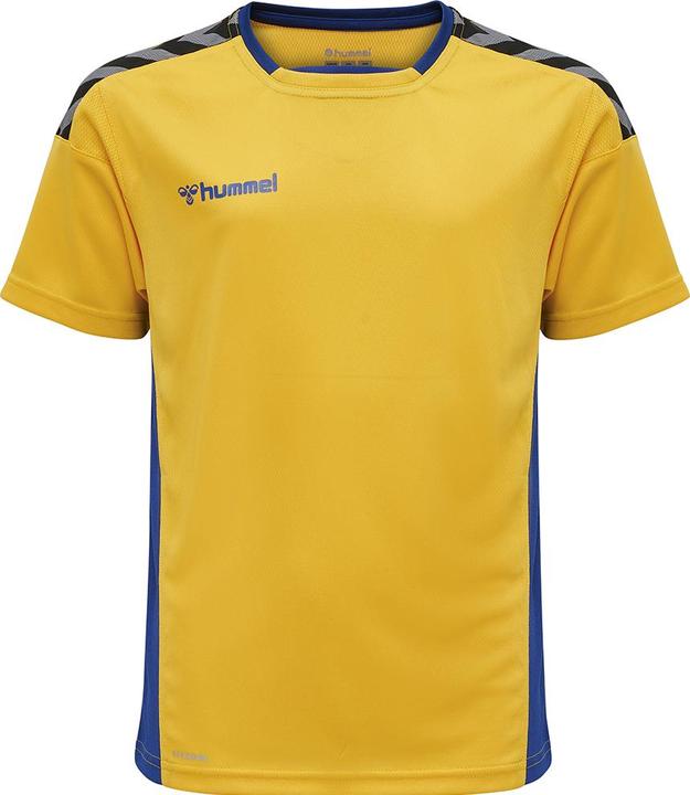Image du produit hummel Authentic Kids Poly Jersey S/S (164)
