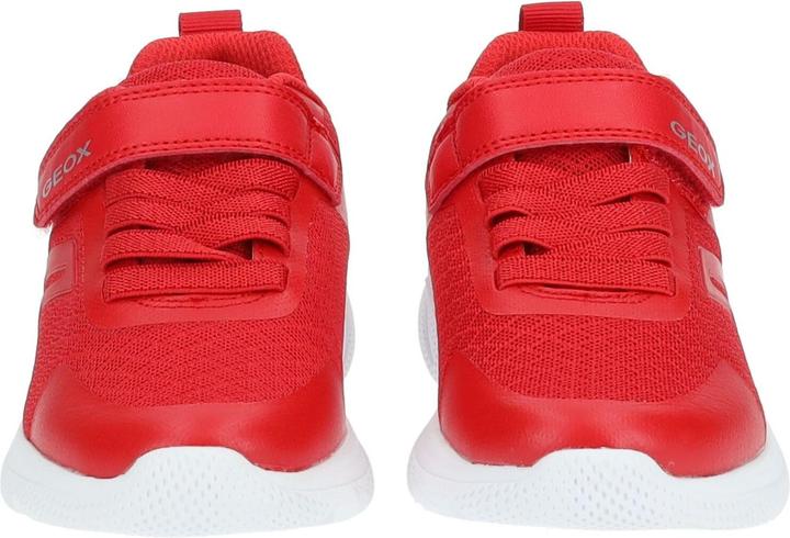 Actual product image Geox Sneaker (34)