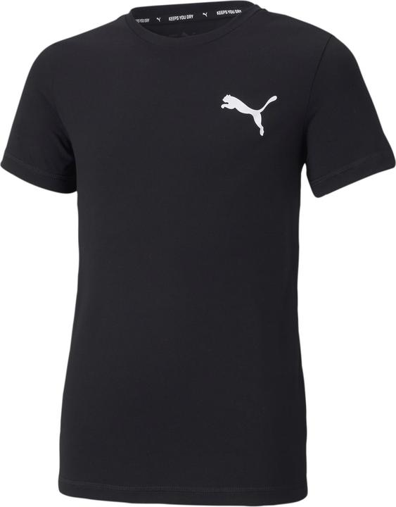 Puma ACTIVE Small Logo Tee-586980