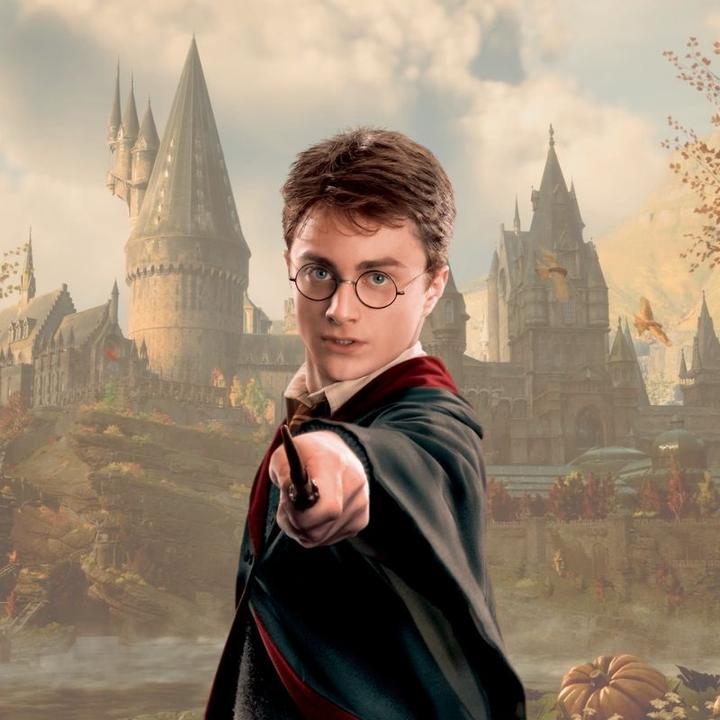 Produktbild Noble Collection Harry Potter's Wand Zauberstab