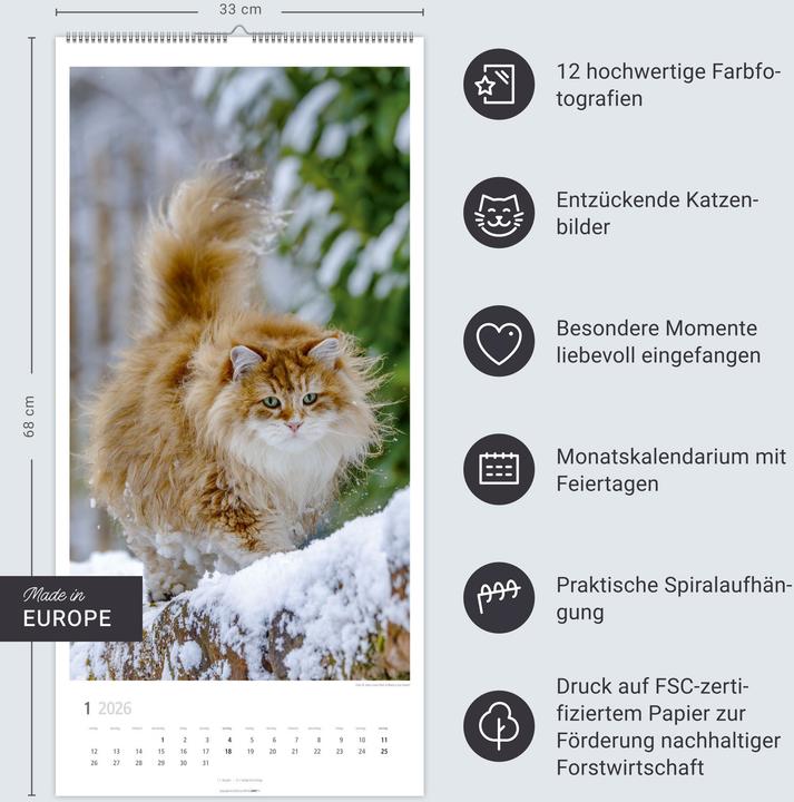 Produktbild Katzen Kalender 2026 (33 x 68 cm)