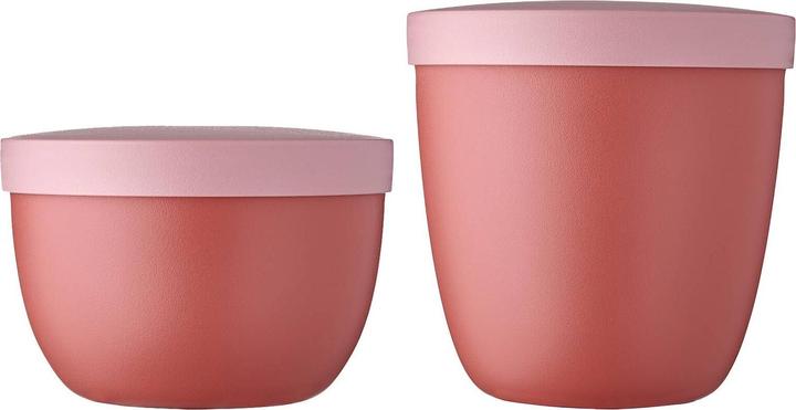 Malva vivace, Rosa-rosso