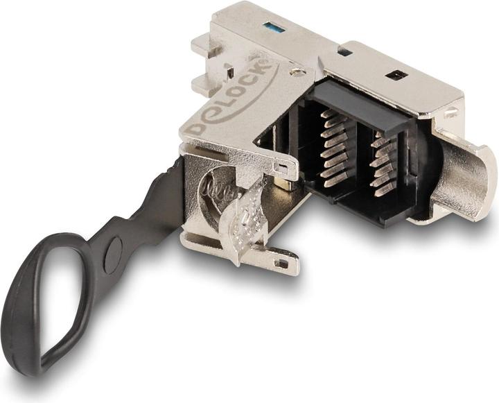 Actual product image Delock RJ45 plug field-wireable Cat.6A with push and pull lug tool-free (Network cable plug)