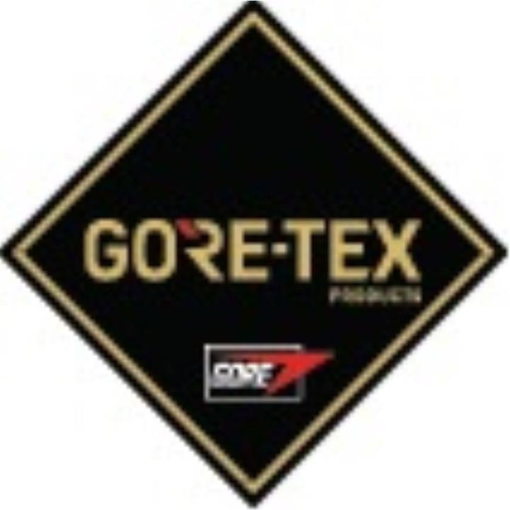 Produktbild Lowa Renegade Work II GTX (S3, 43)