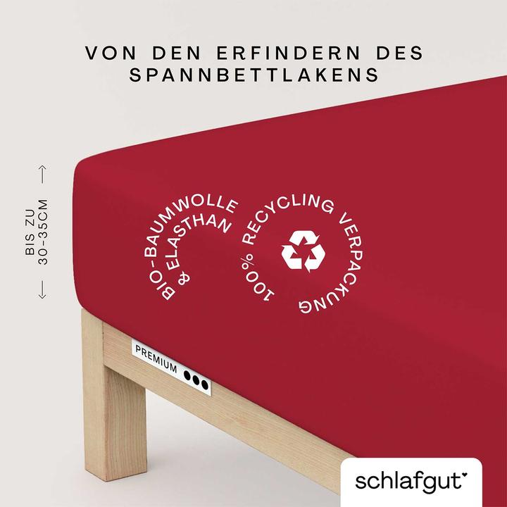Produktbild schlafgut Premium (120 x 200 - 130 x 220 cm)
