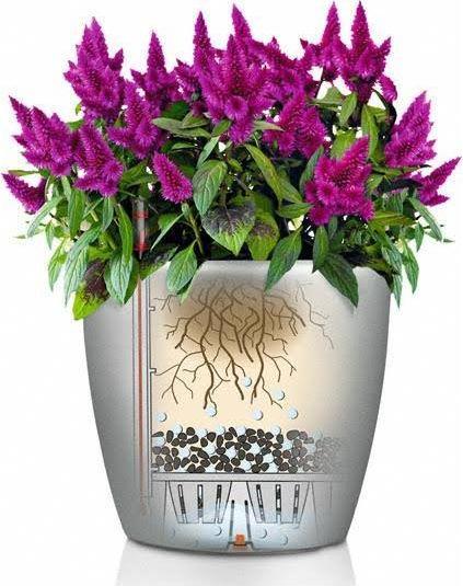 Image du produit Lechuza Classico (28.50 x 26 cm)