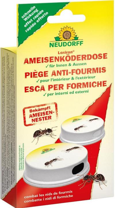 Actual product image Neudorff Loxiran ant bait box