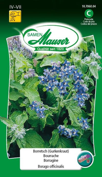 Immagine prodotto Samen Mauser Borragine Cetriolo erba (Semi di verdura)